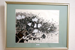 墨彩画「花」 茅野典子作品展