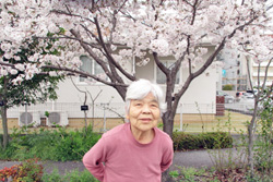 花見