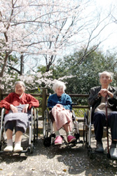 お花見