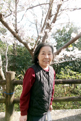 お花見