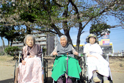 お花見
