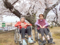 Ԍ
