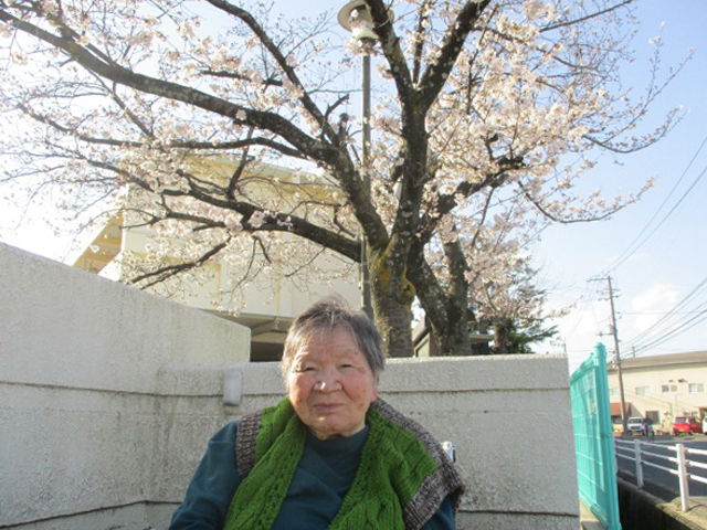 桜花見イベント