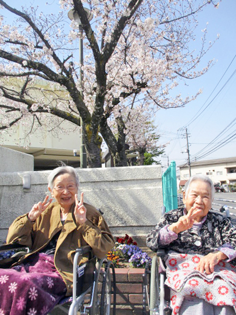 桜花見イベント