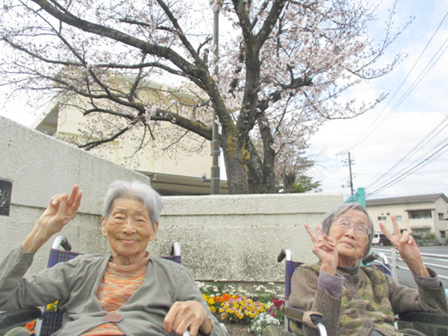 お花見