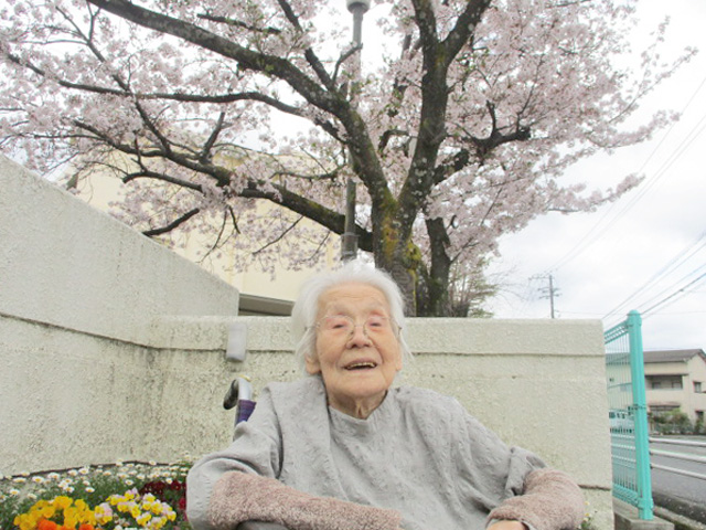 お花見