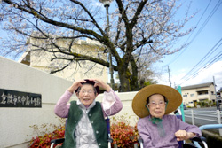 お花見